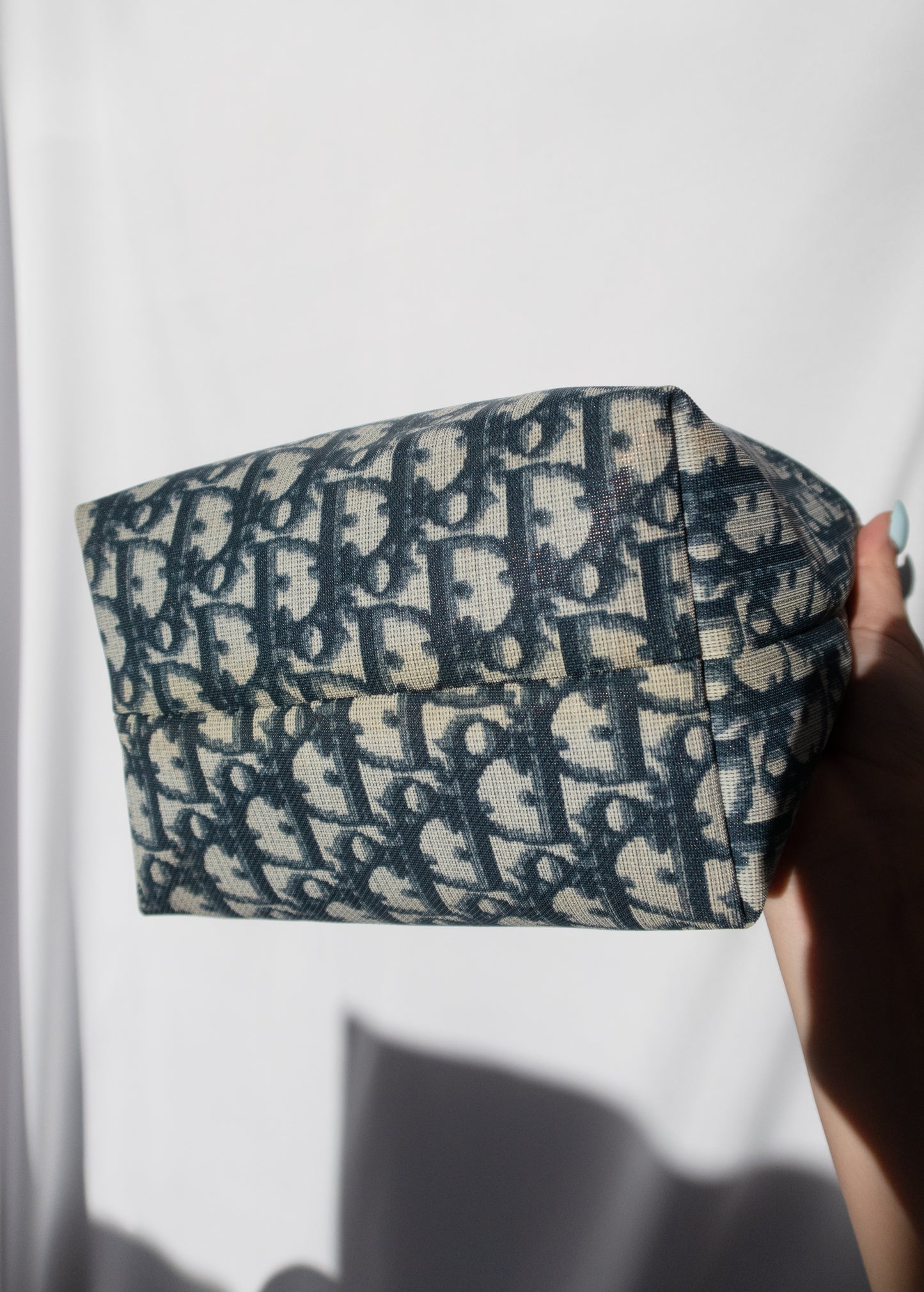 Dior Oblique Monogram Pochette