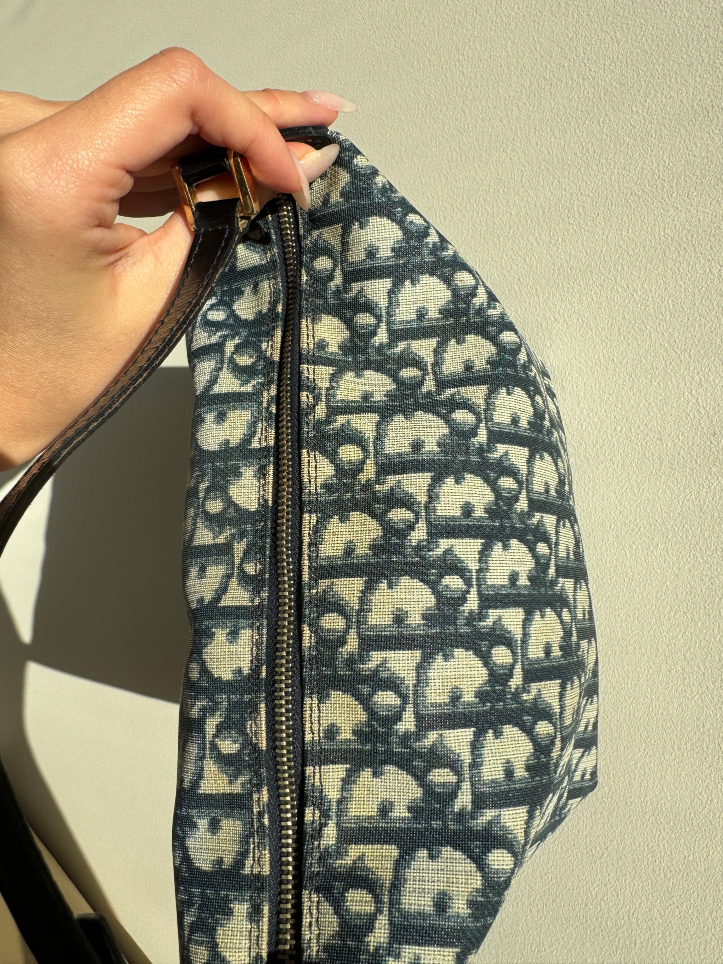 Dior Oblique Monogram Pochette