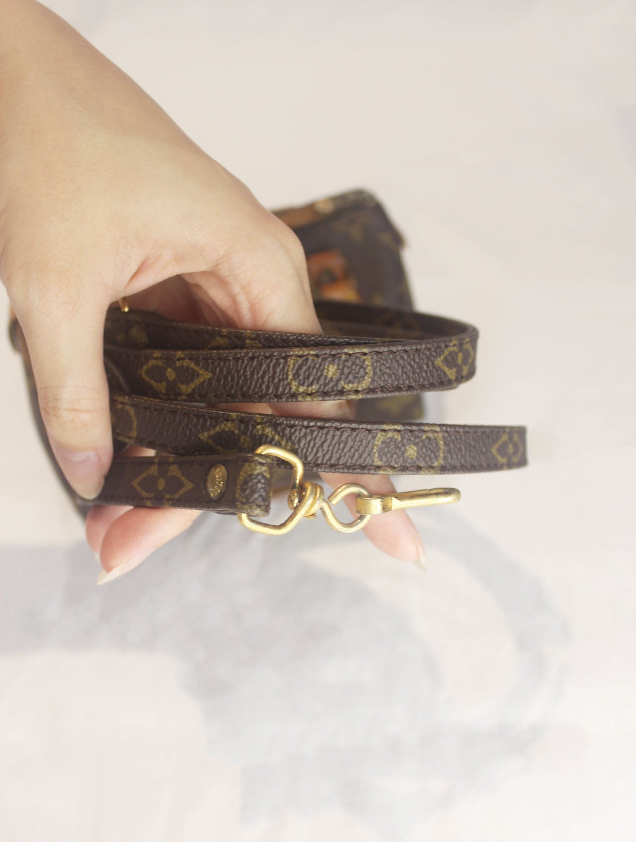 Louis Vuitton Monogram Mini Speedy
