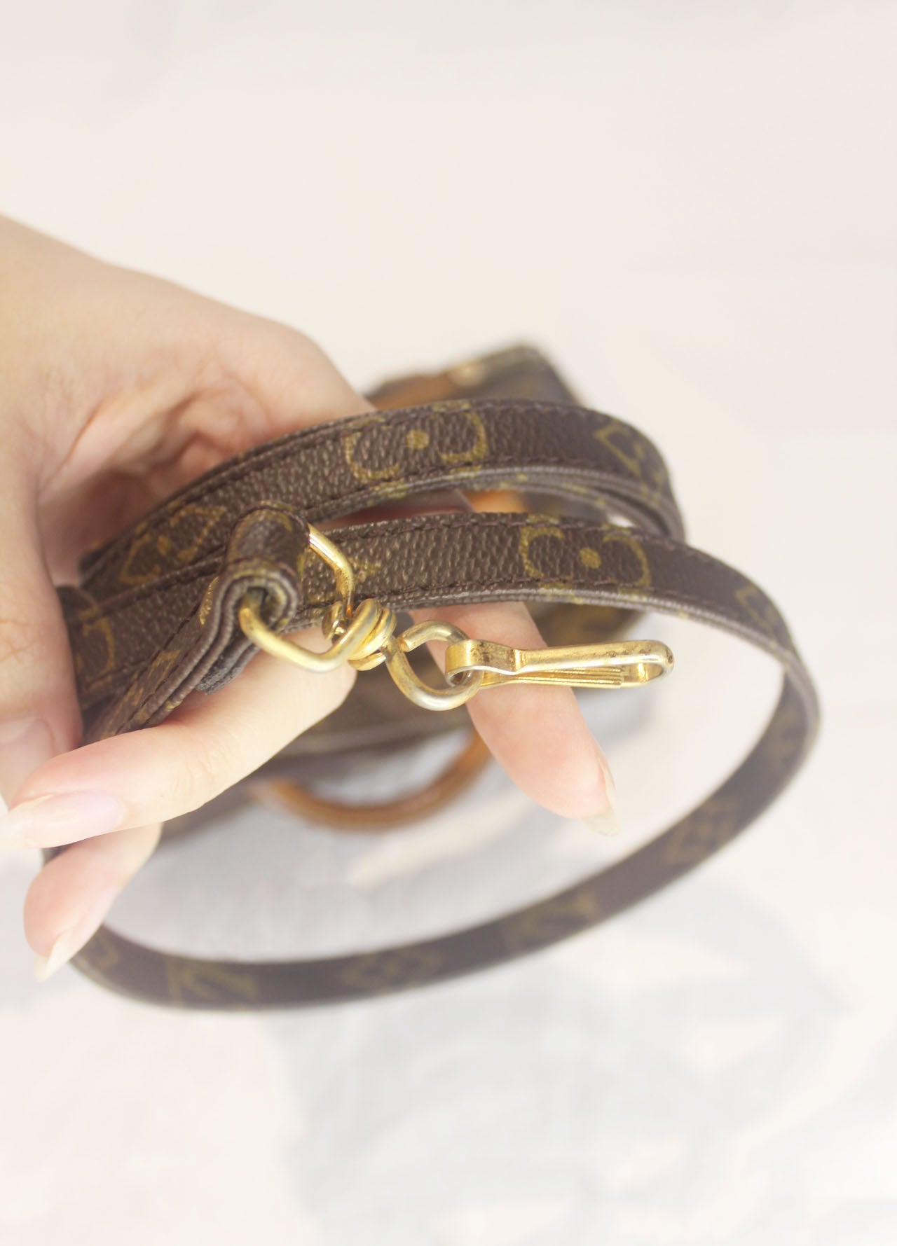 Louis Vuitton Monogram Mini Speedy