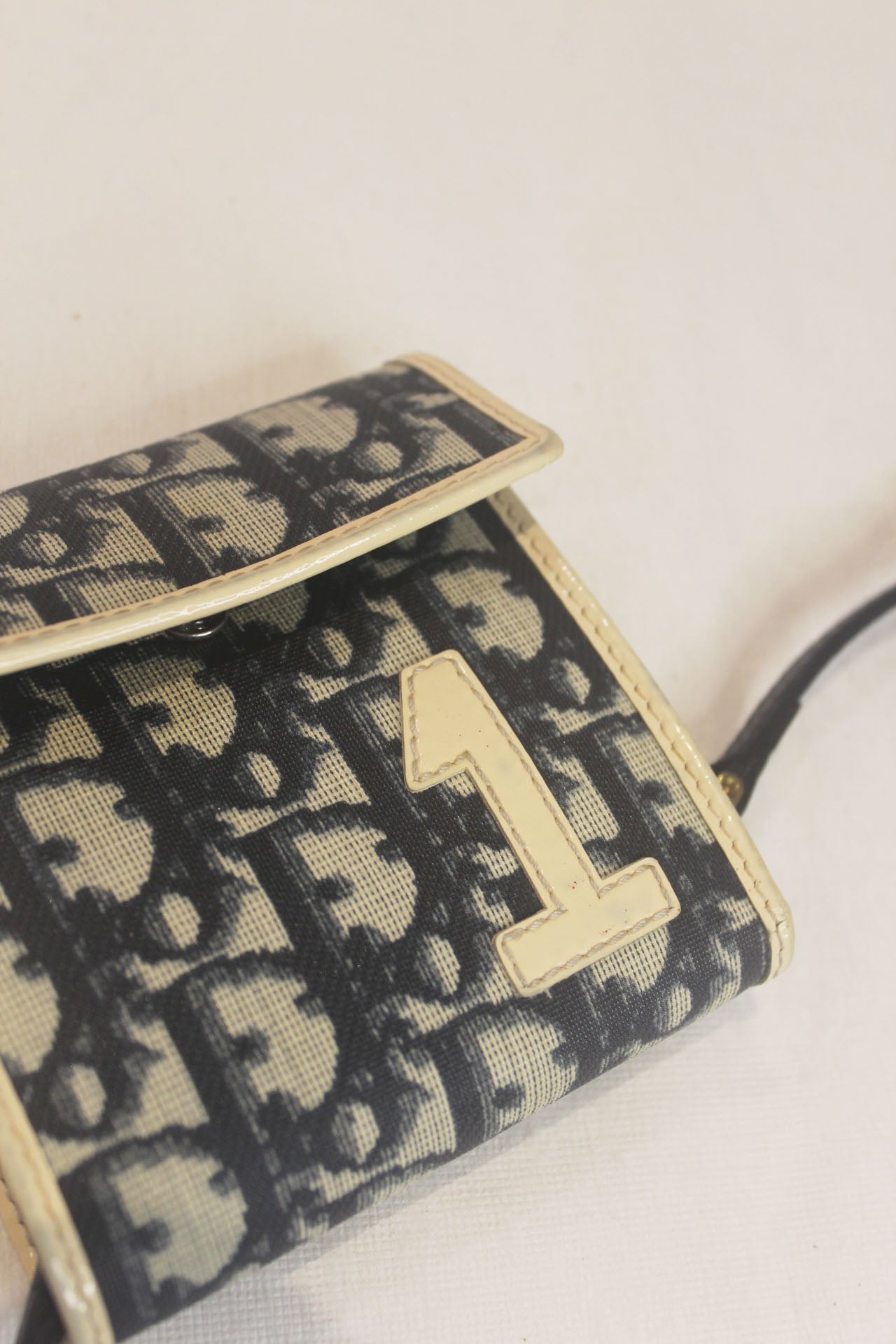 Christian Dior Monogram Wallet on Strap