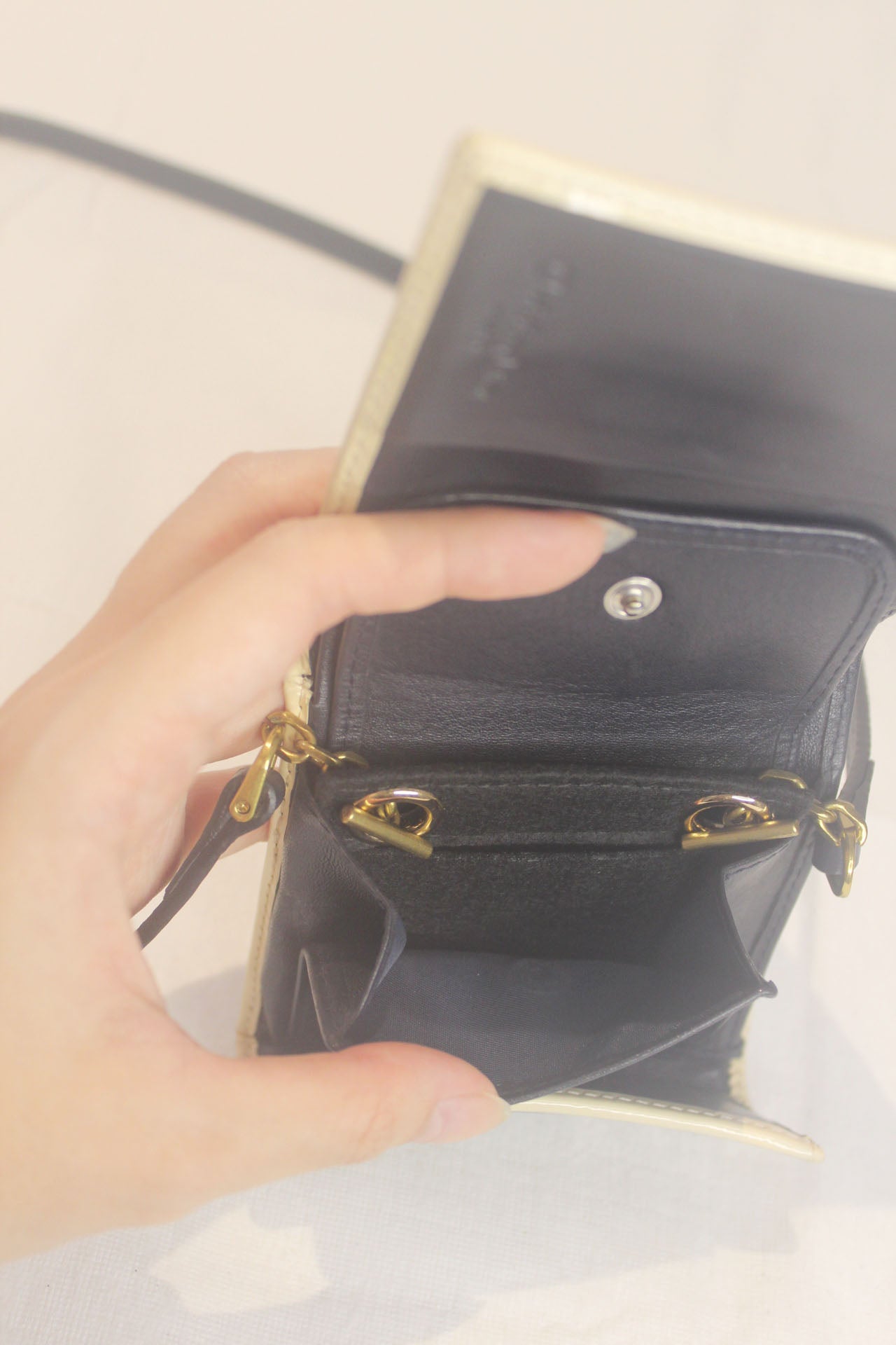 Christian Dior Monogram Wallet on Strap