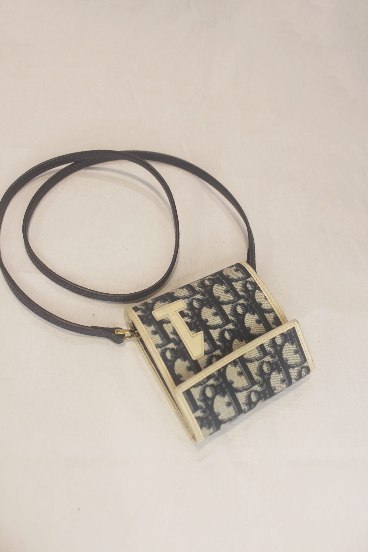 Christian Dior Monogram Wallet on Strap