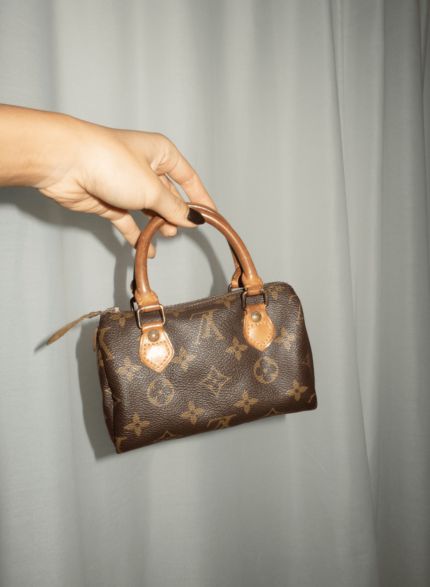 Louis Vuitton Monogram Mini Speedy