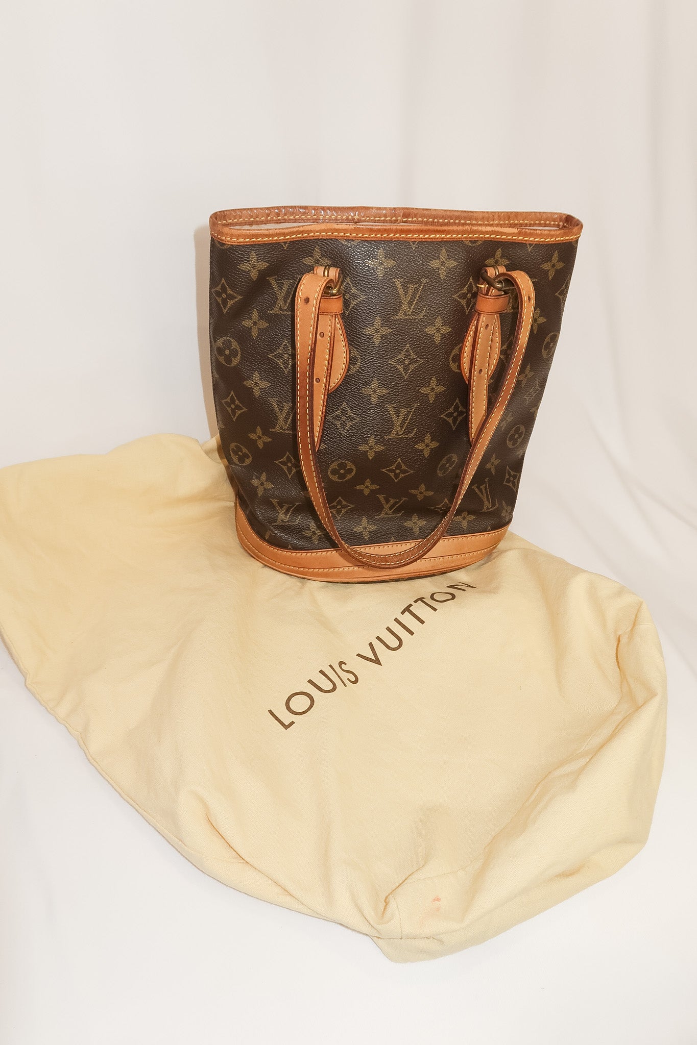 Louis Vuitton Monogram Canvas PM Bucket Bag