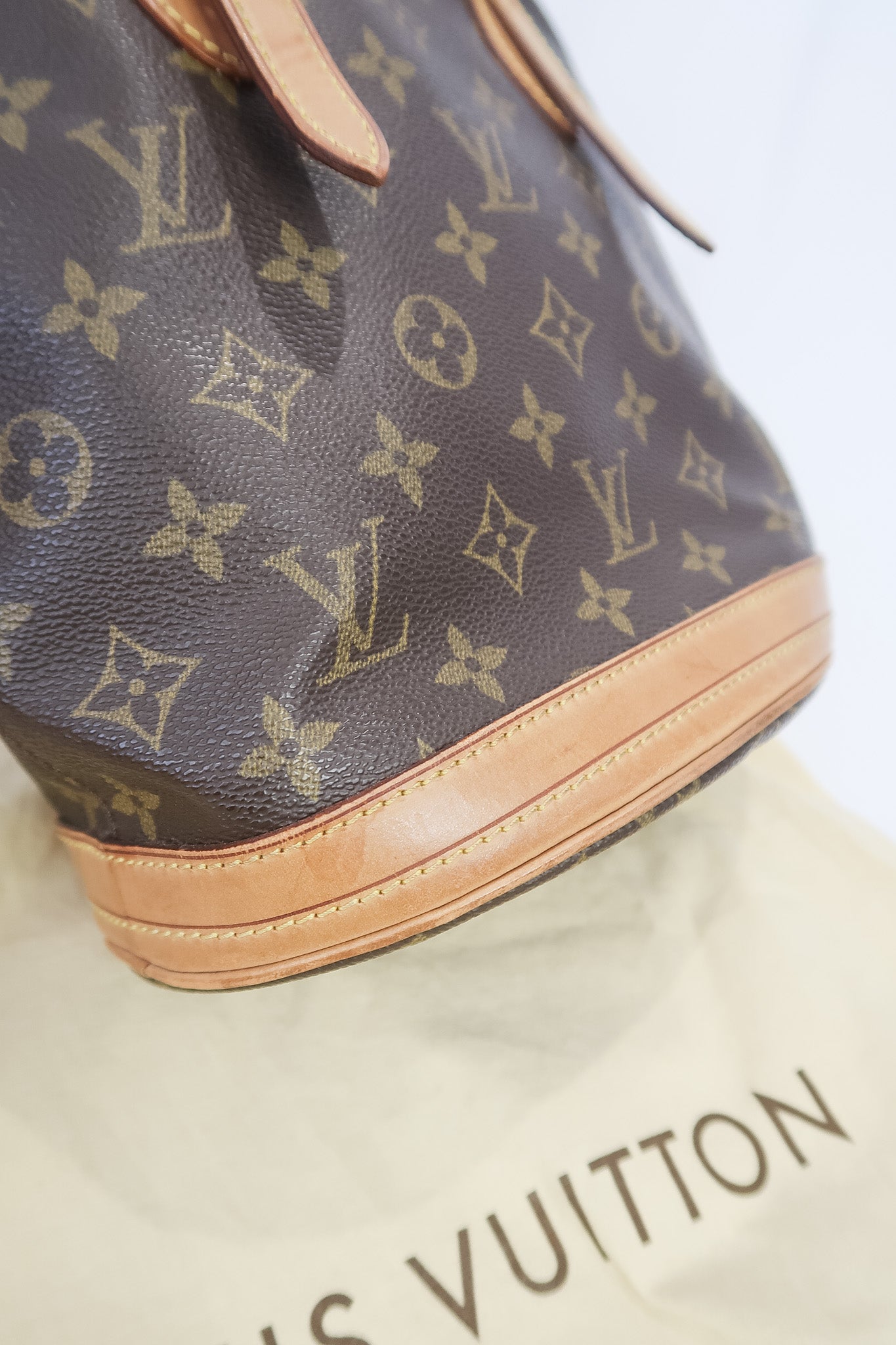 Louis Vuitton Monogram Canvas PM Bucket Bag